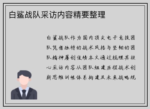 白鲨战队采访内容精要整理