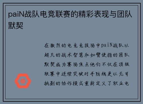 paiN战队电竞联赛的精彩表现与团队默契